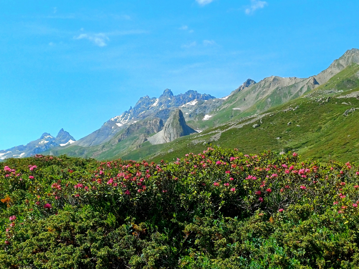 Package Hotel Post: Gästewanderung mit Willi