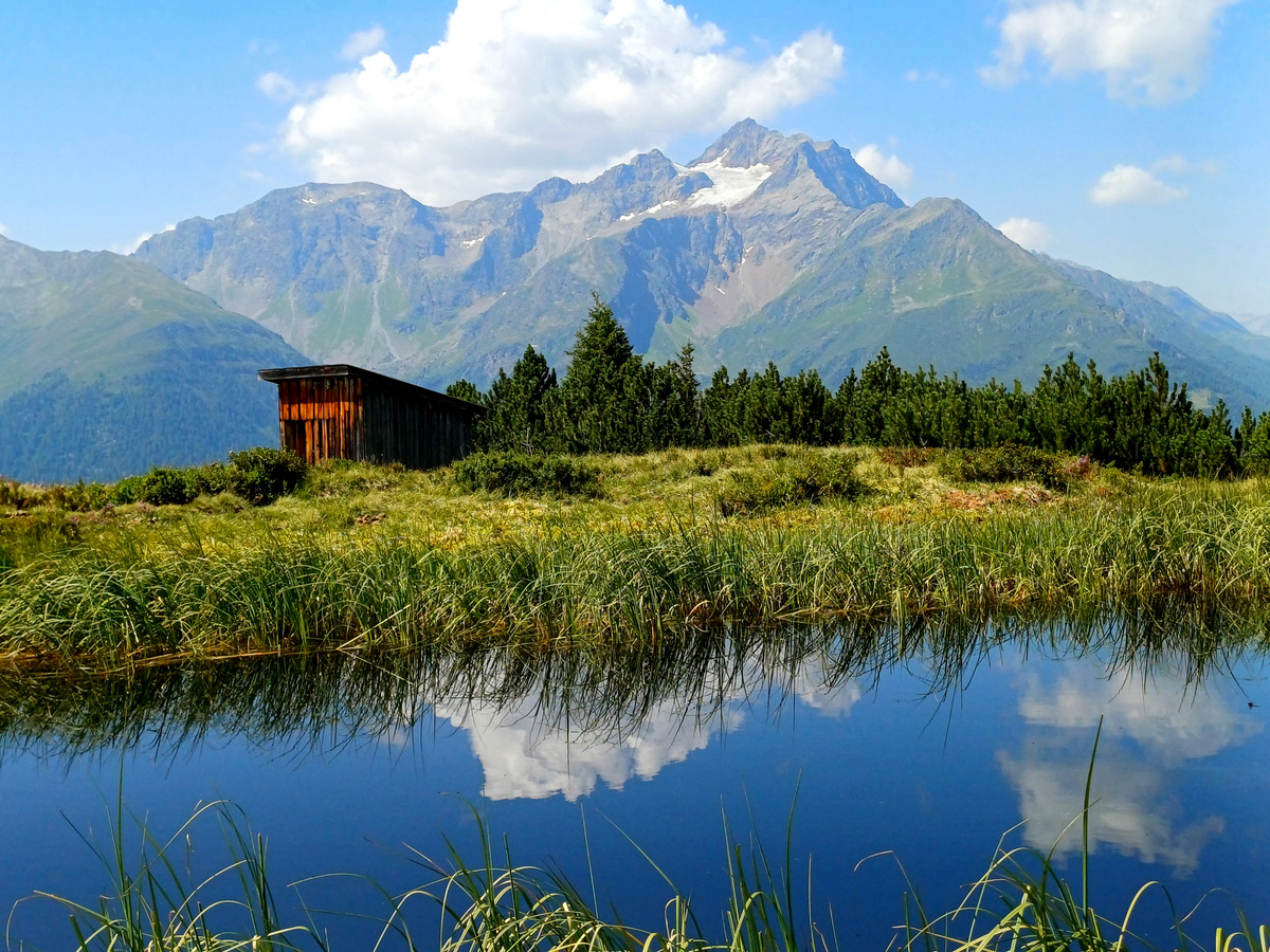 Package Hotel Post: Dawin Alpe mit Willi 